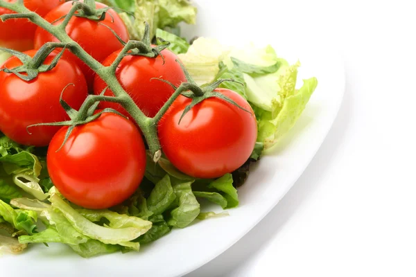 Sallad — Stockfoto