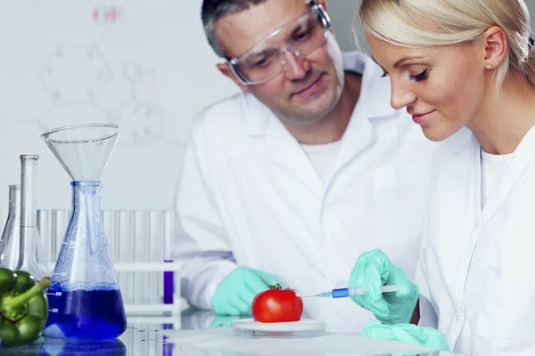 DNA de tomate — Fotografia de Stock