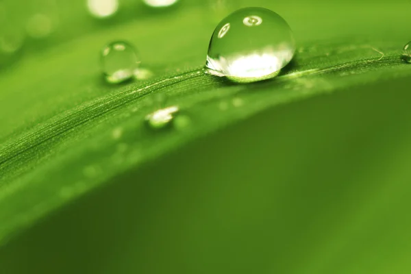 Gota de agua grande —  Fotos de Stock