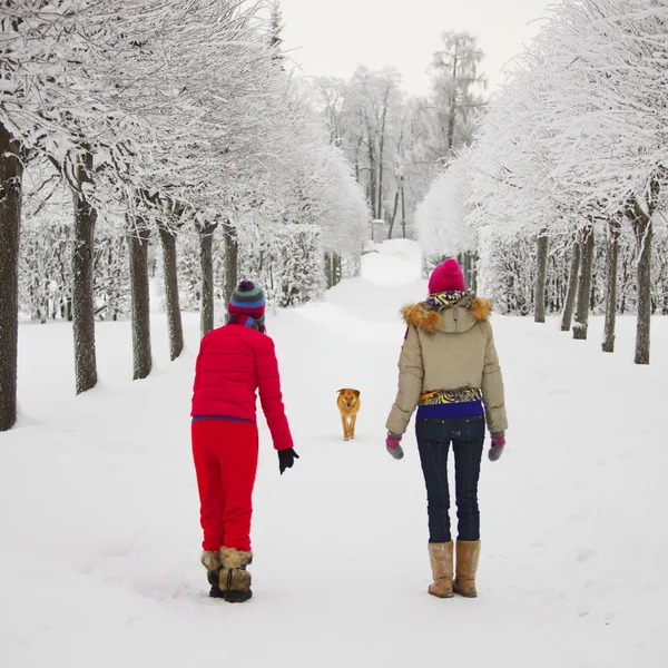 겨울 산책 — 스톡 사진