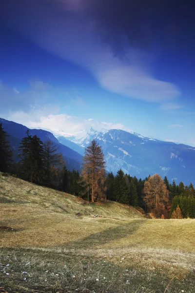 Jarní Alpy — Stock fotografie