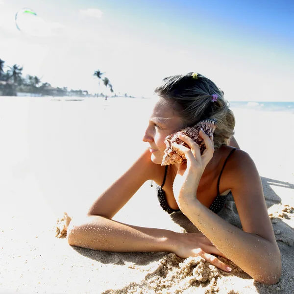 Muscheltelefon — Stockfoto