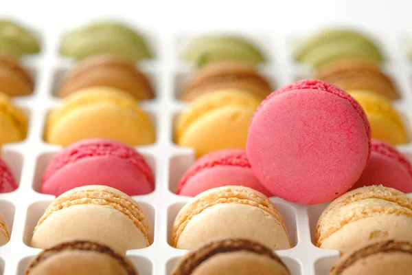 Macaroons coloridos — Fotografia de Stock