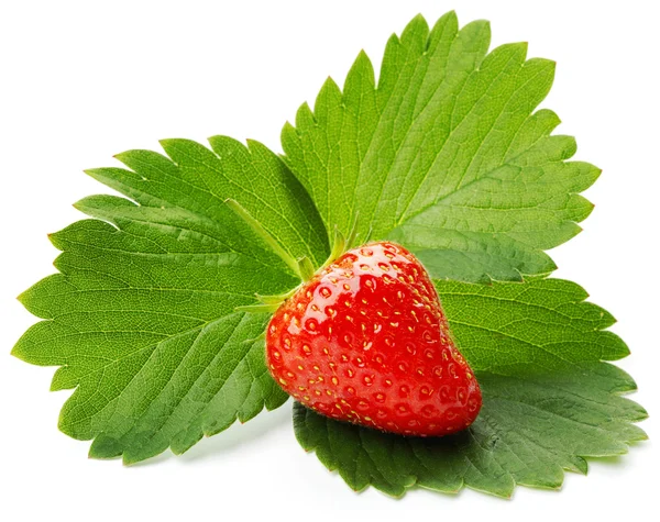 Strawberry with leaves — Stock Photo, Image