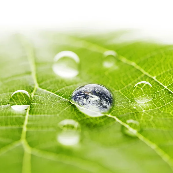 O mundo numa gota de água — Fotografia de Stock