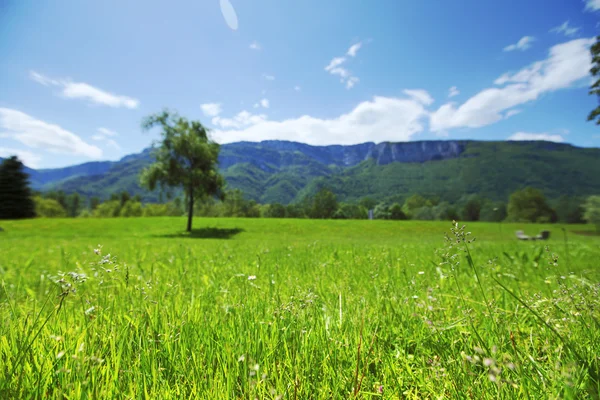 Spring alps Stock Image