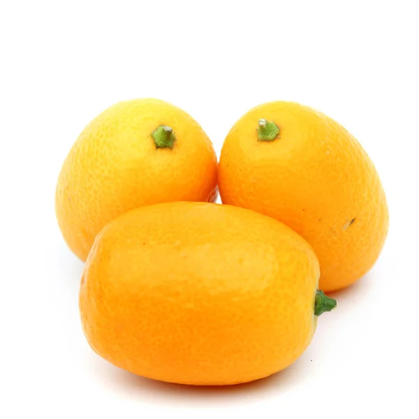 Kumquat — Photo