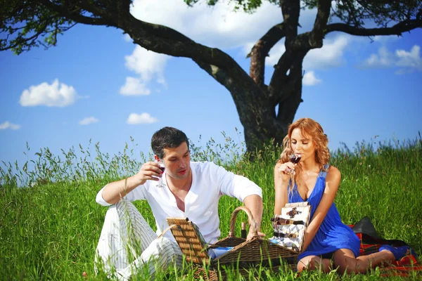 Picnic — Stock Photo, Image