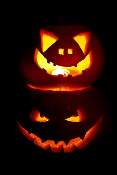 Halloween pumpkins — Stock Photo, Image