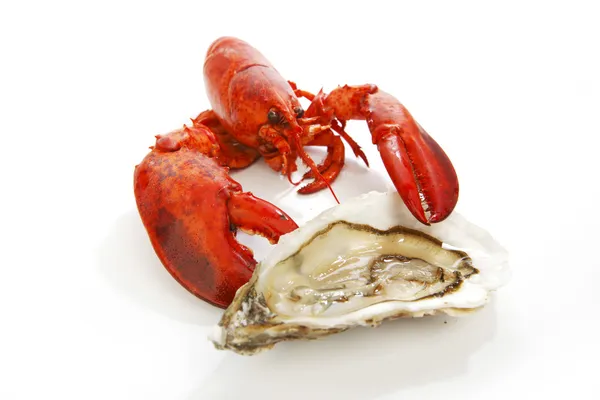 Lobster and oyster — Stock Photo, Image