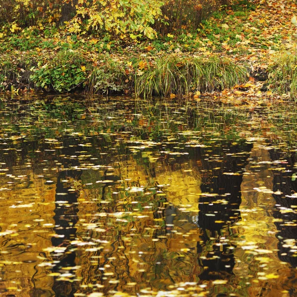 Estanque de otoño — Foto de Stock