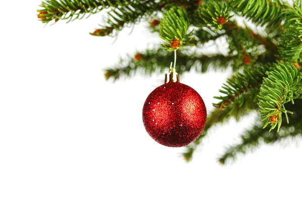 Bola de Natal vermelho em abeto — Fotografia de Stock