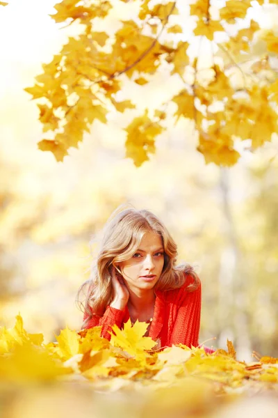 Γυναίκα τοποθέτηση Φθινοπωρινά φύλλα — Φωτογραφία Αρχείου