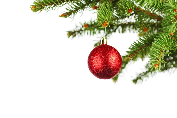 Red christmas ball on fir — Stock Photo, Image