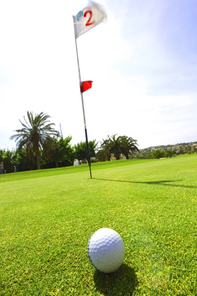 Golf-ball em curso — Fotografia de Stock