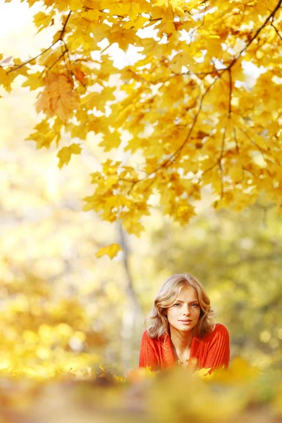 Mujer acostada en hojas de otoño —  Fotos de Stock