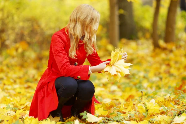 Kvinna samla löv — Stockfoto