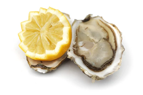 Oyster and lemon on white — Stok fotoğraf
