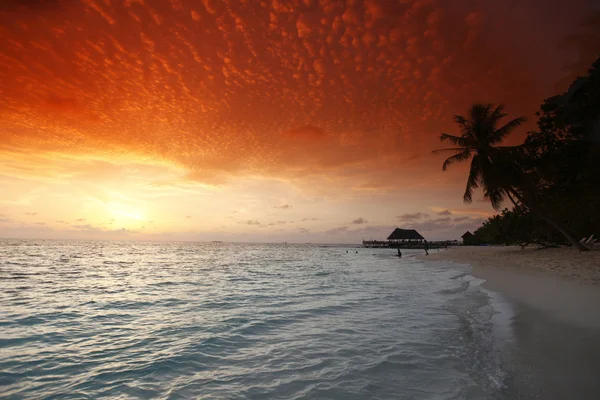 Sunset on beach — Stock Photo, Image