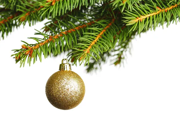 Christmas decoration on fir branch — Stock Photo, Image