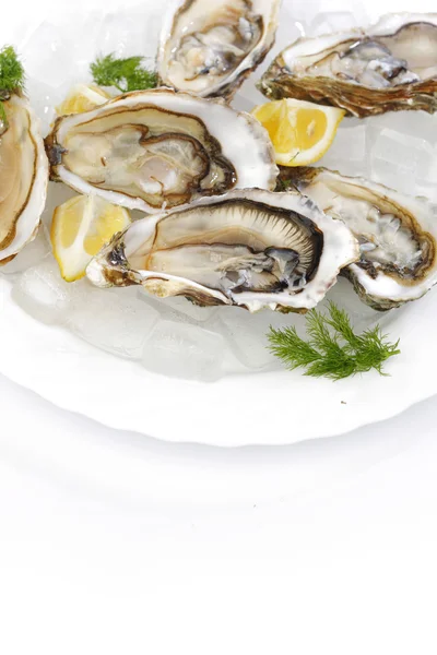 Oysters with lemon and dill — Stockfoto