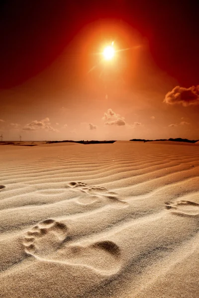 Lábnyomok a homok dűne — Stock Fotó