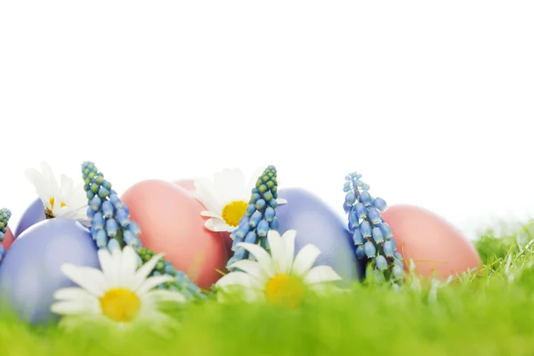 Easter eggs — Stock Photo, Image