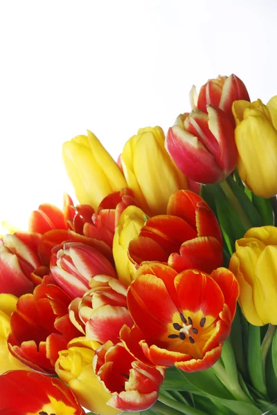 Boeket gele en rode tulpen — Stockfoto