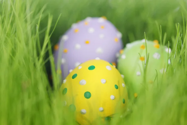 Easter eggs — Stock Photo, Image