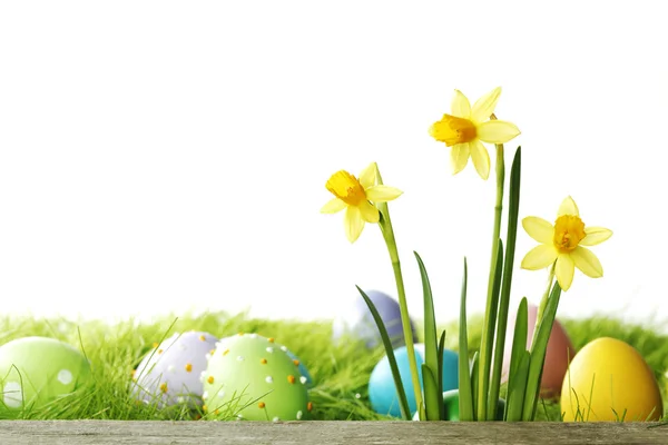 Huevos de Pascua y flores — Foto de Stock