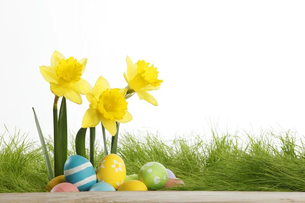 Huevos de Pascua y narcisos — Foto de Stock