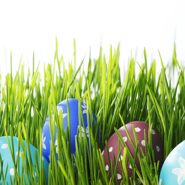 Easter eggs in grass — Stock Photo, Image