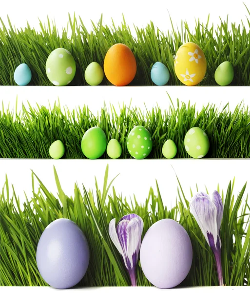 Ouă de Paște în iarbă — Fotografie, imagine de stoc