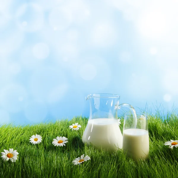 Melkkannetje en glas op gras — Stockfoto