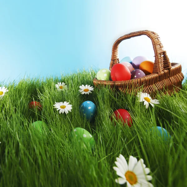 Basket of easter eggs — Stock Photo, Image