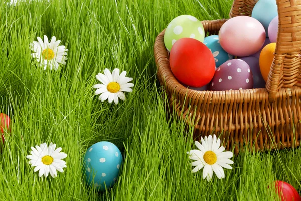 Cesta de huevos de Pascua — Foto de Stock