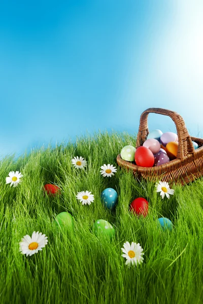 Cesto di uova di Pasqua — Foto Stock