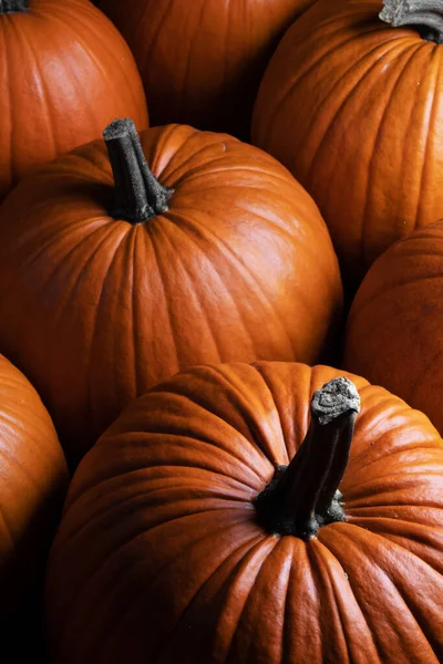Hele Oranje Pompoenen Donkere Achtergrond Thanksgiving Halloween Stijlvolle Kaart — Stockfoto
