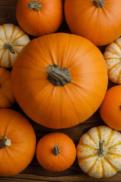 Wiele Różnych Pomarańczowe Tło Dynie Halloween Lub Koncepcja Święto Dziękczynienia — Zdjęcie stockowe