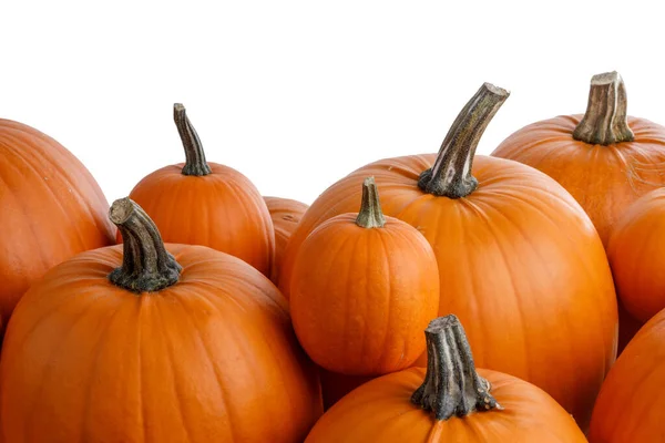 Många Orange Pumpor Ram Isolerad Vit Bakgrund Höstens Skörd Halloween — Stockfoto