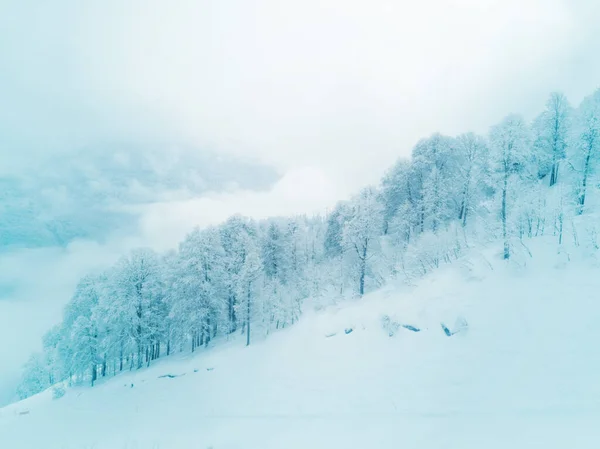 Winter Nadelwald Den Winterbergen Blick Auf Die Skipiste Solden Österreich — Stockfoto