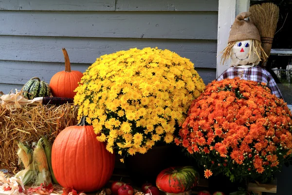 Thanksgiving Decoration — Stock Photo, Image