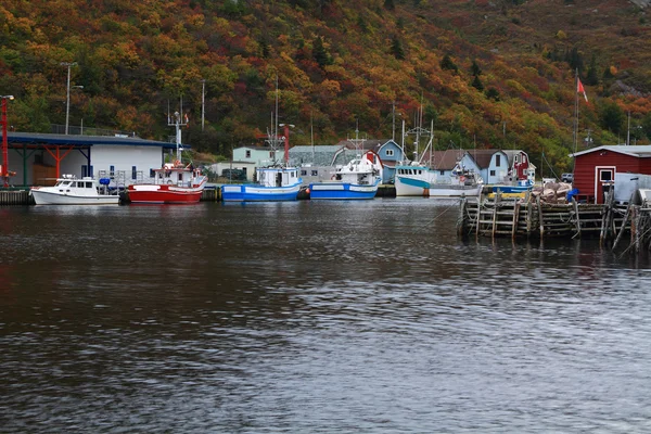 Molo pro rybářské čluny (lodě) drobné přístav, newfoundland, Kanada — Stock fotografie