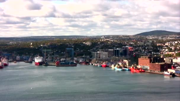 Λιμάνι και την πόλη, η νέα γη, Καναδά του Αγίου johns. — Αρχείο Βίντεο