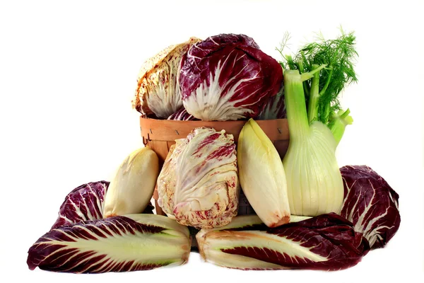 Fennel and Radicchio ingredients for gourmet salad — Stock Photo, Image