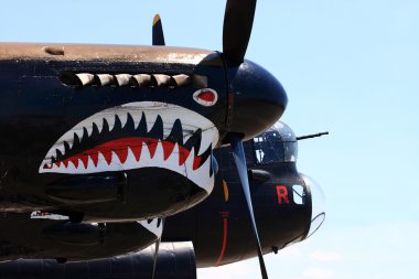 Painting shark teeth on the engine cowlings of the Avro Lancaster clipart