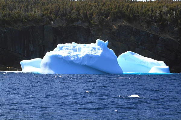 ニューファウンドランドの海岸に達した大きい氷山の残り ストック画像