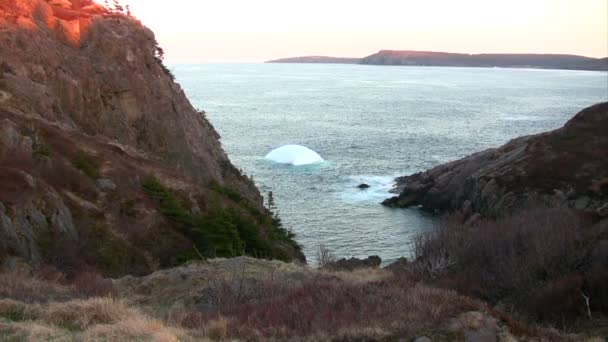 Kleine ijsberg op kustlijn van newfoundland — Stockvideo
