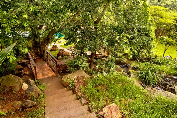 Beautiful green garden — Stock Photo, Image