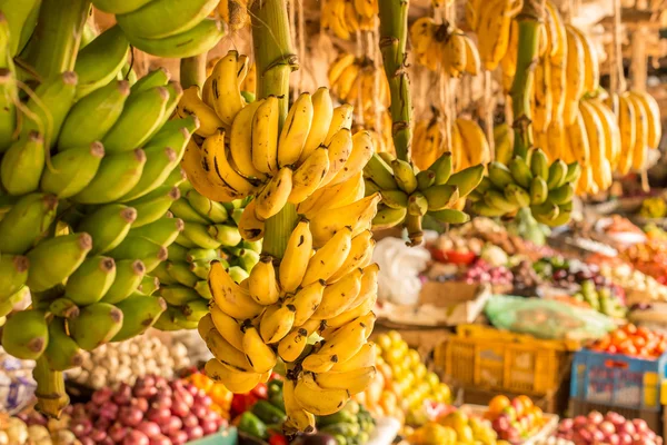 地元の市場でバナナの束 — ストック写真
